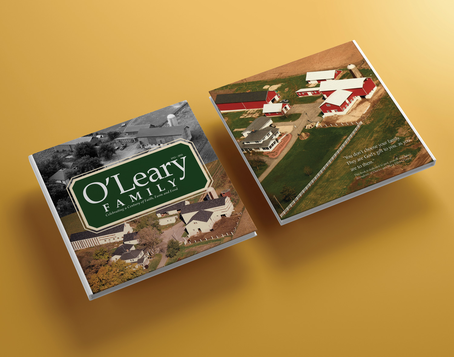 view 80 page coffee table book for O'Leary family